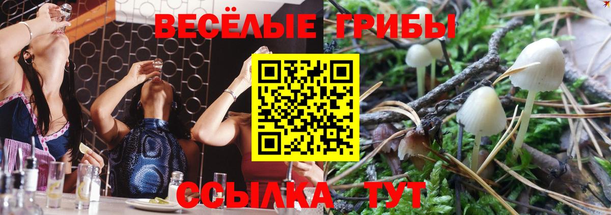 Галлюциногенные грибы GOLDEN TEACHER Ирбит