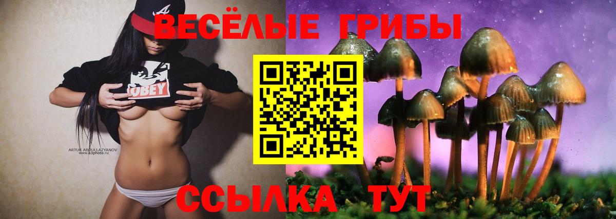 Ирбит  Галлюциногенные грибы Magic Shrooms  Галлюциногенные грибы Psilocybine cubensis  Вход с VPN 